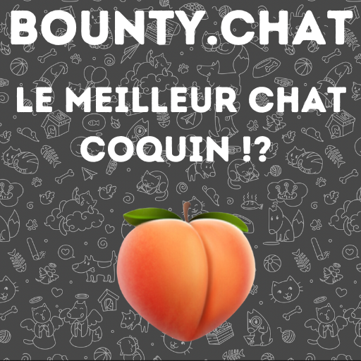 Bounty, le meilleur chat coquin ?