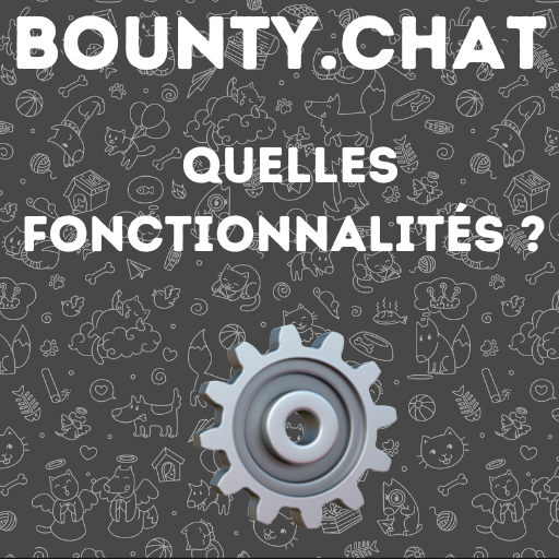 Bounty : Quelles fonctionnalités pour ce tchat sans inscription ?